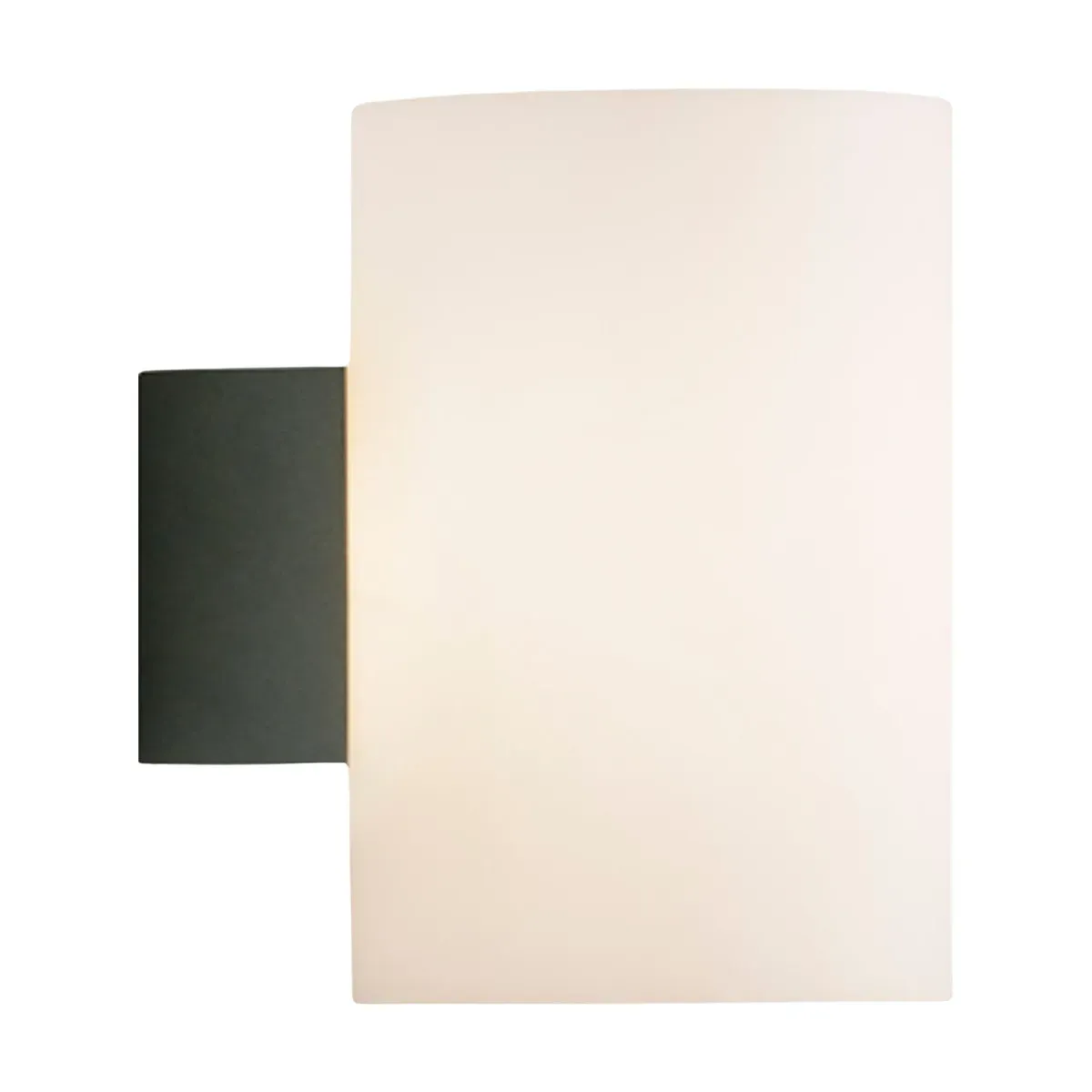 Applique murale de salle de bain en métal anthracite et verre opale 16x18x12cm Evoke