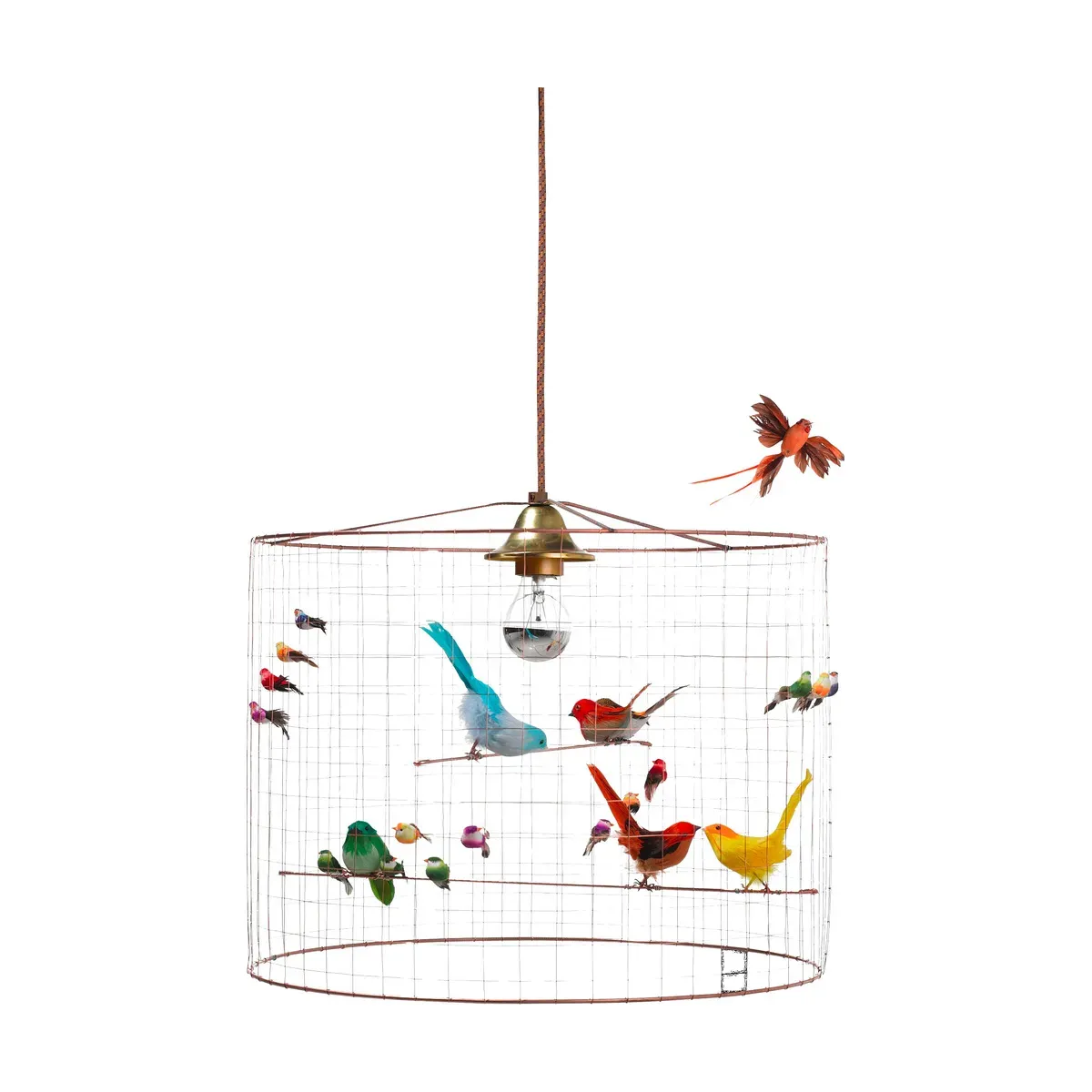 Suspension Petite Volière - Mathieu Challières