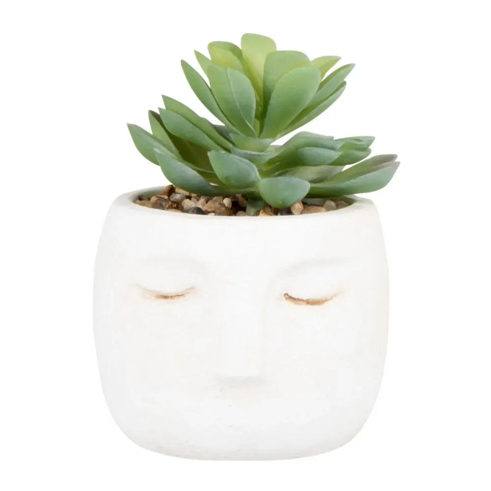 Succulente artificielle et pot en ciment blanc