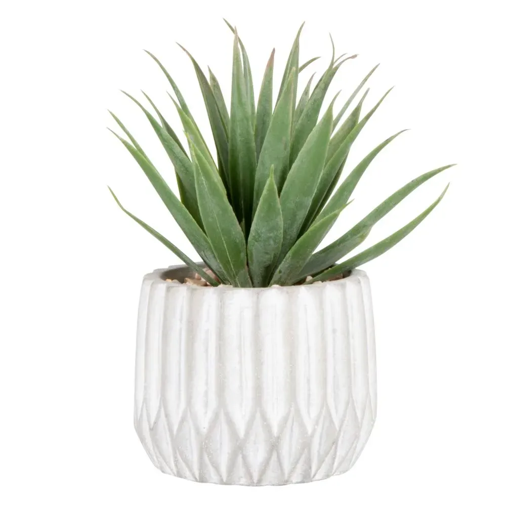 Succulente artificielle et pot en ciment gris