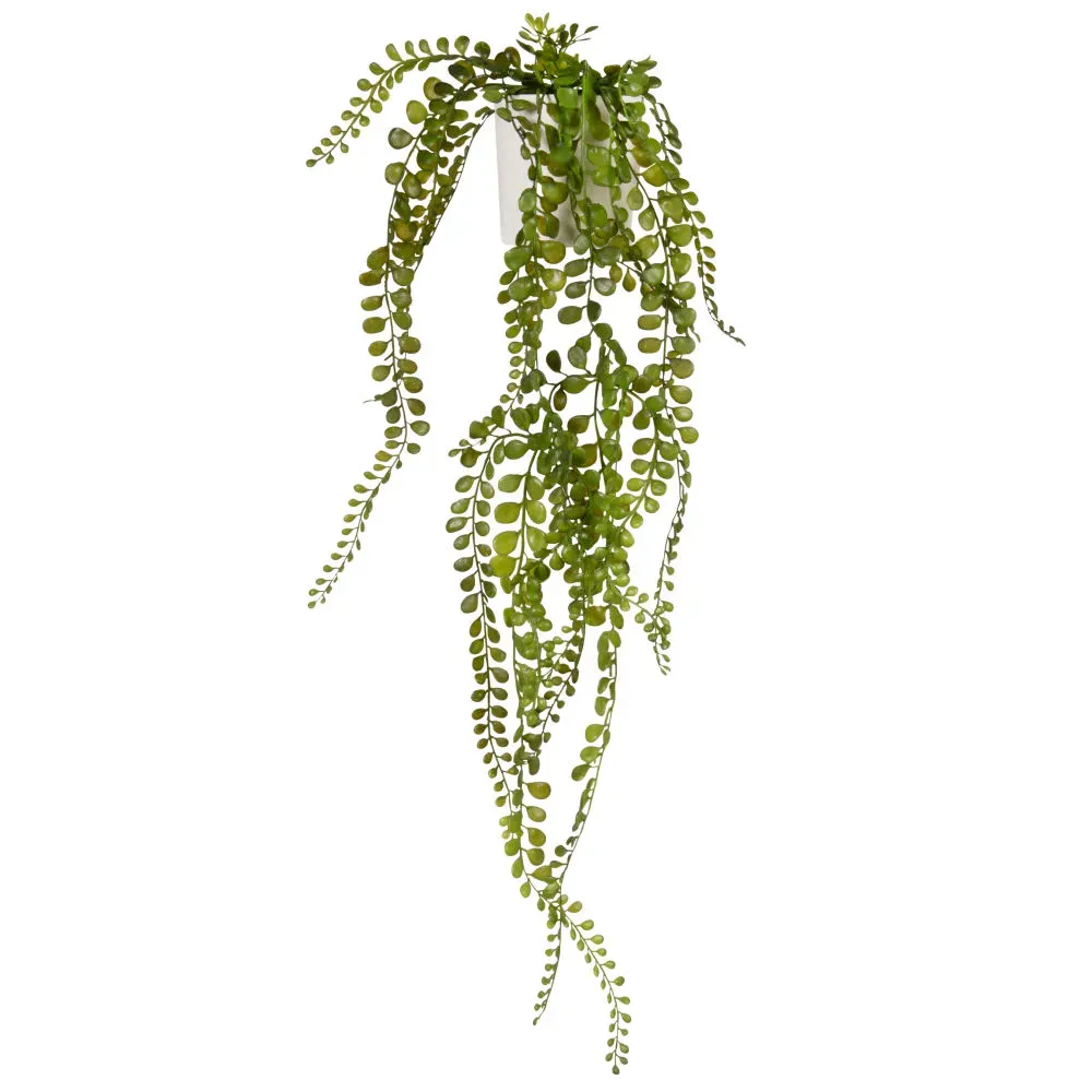 Plante grasse artificielle et pot blanc