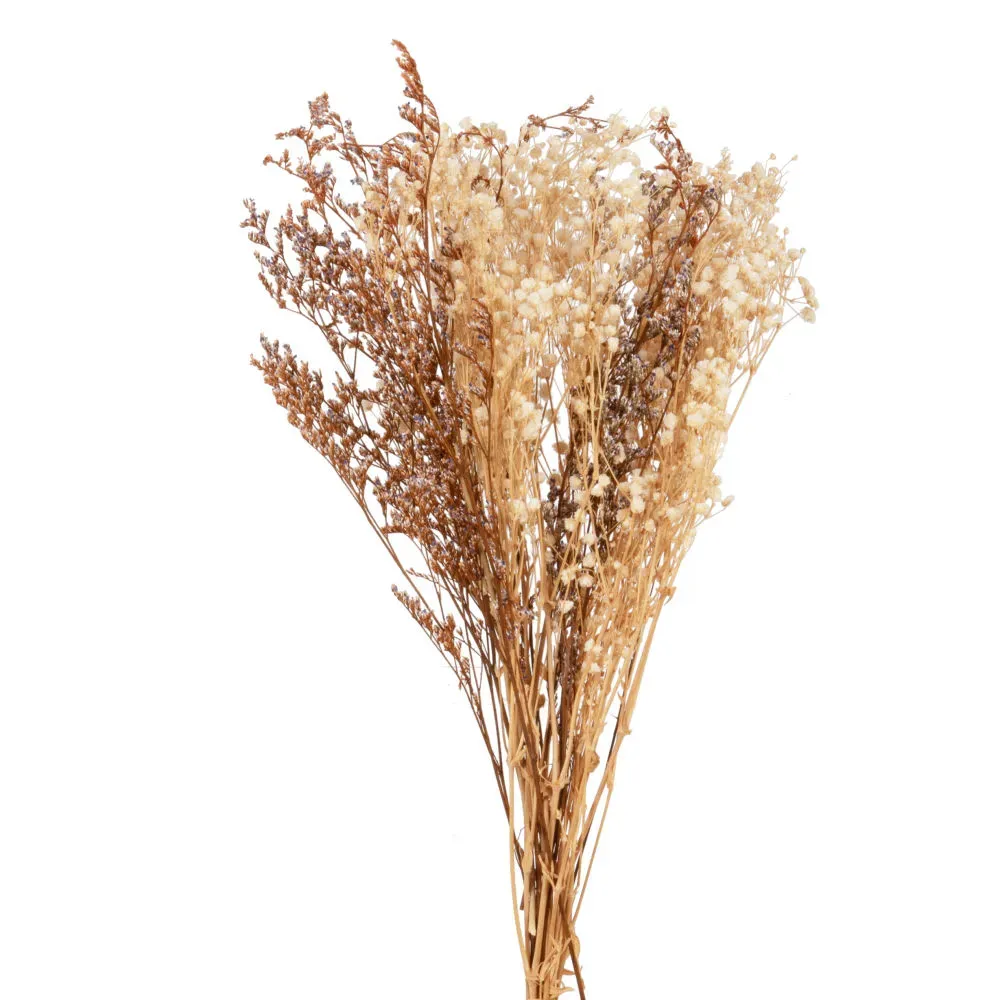 Bouquet de fleurs séchées blanches