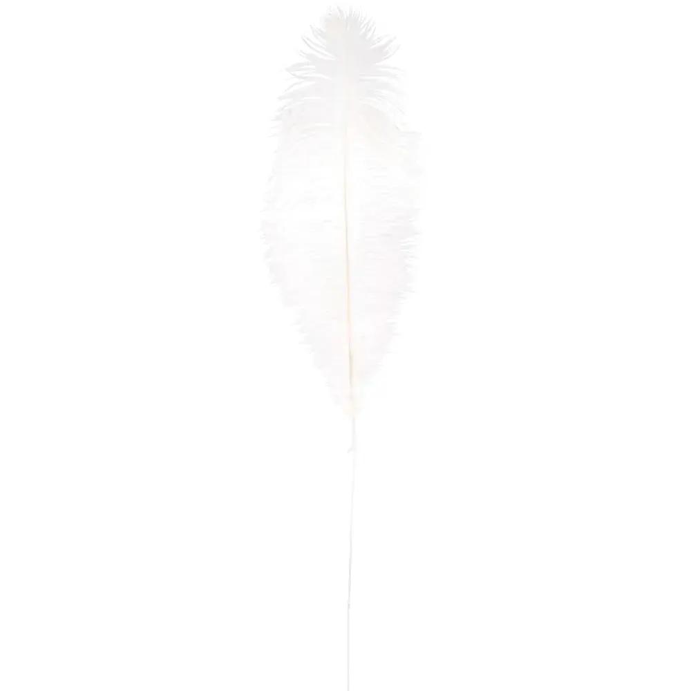 Plume d'autruche blanche