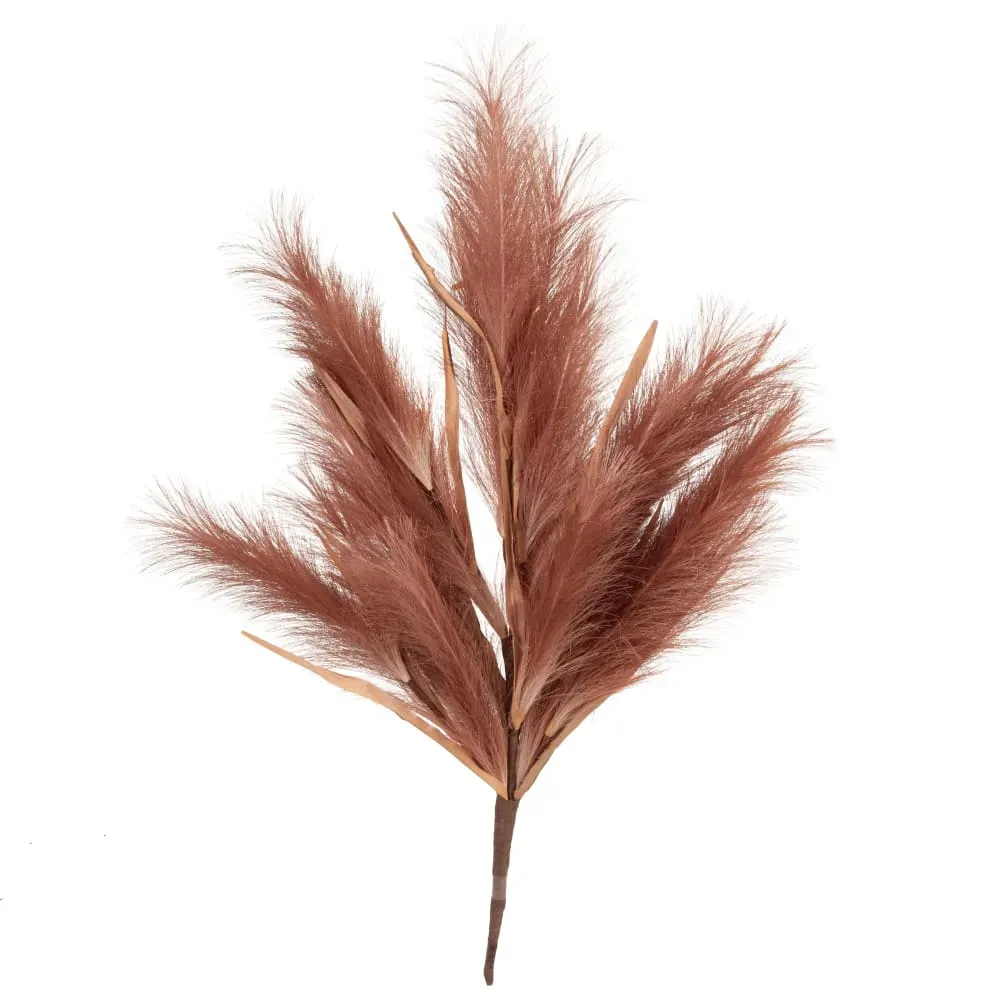 Fleurs séchées rouges