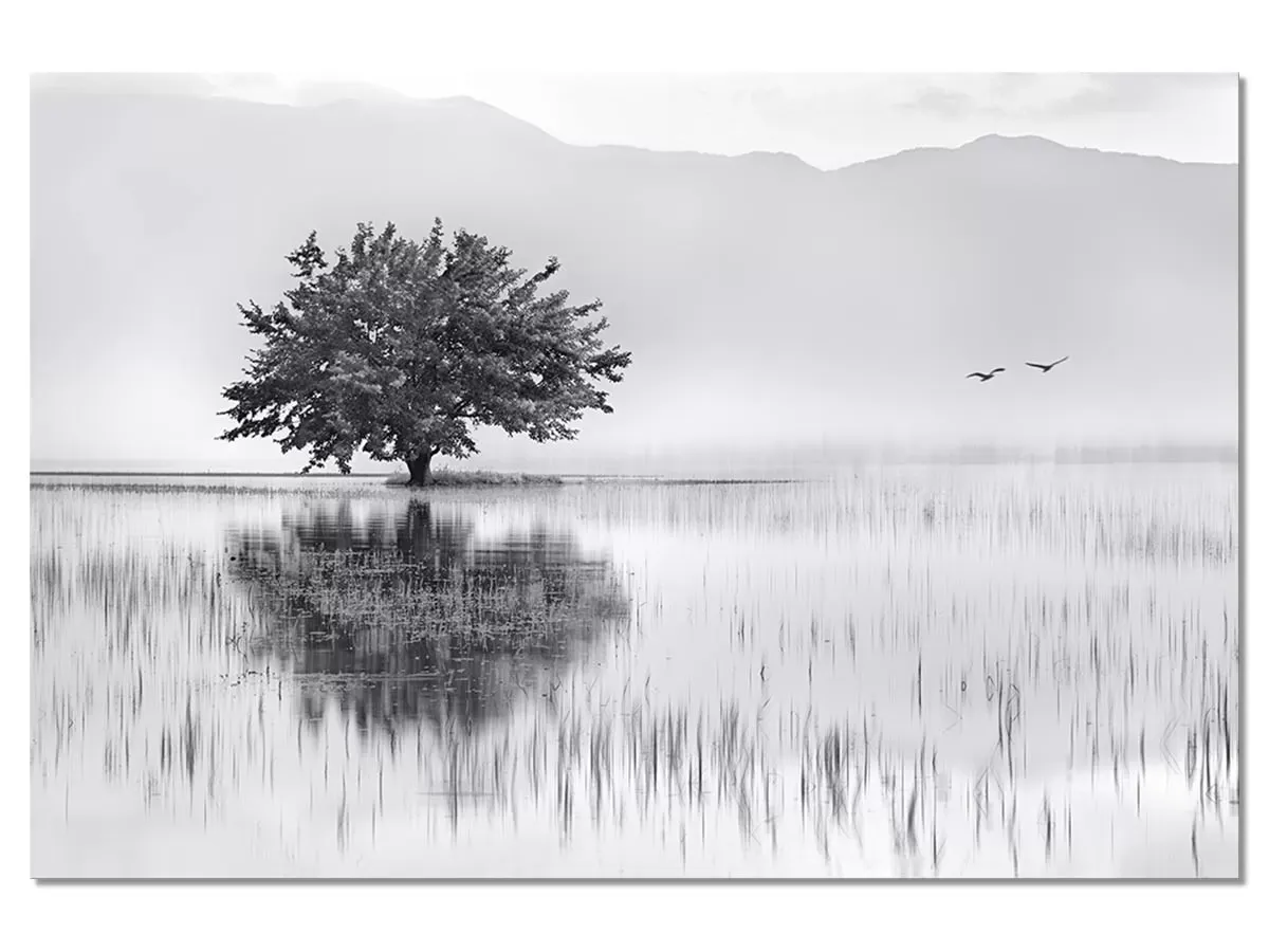 Tableau nature reflets d'eau impression sur aluminium 120x80 cm