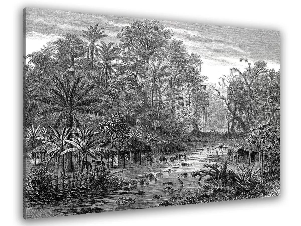 Tableau gravure forêt de mangroves toile imprimée 120x80 cm