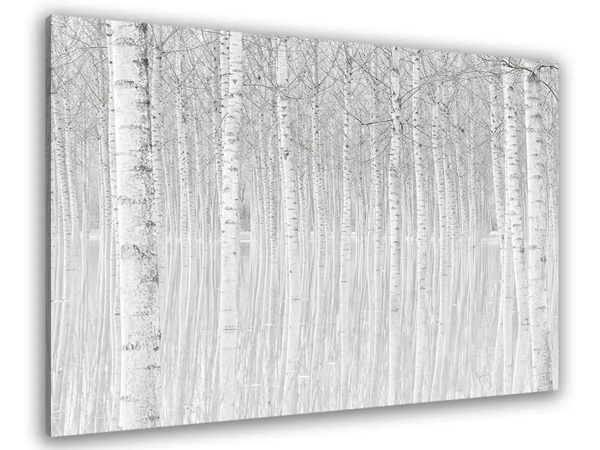 Tableau nature perspective trees toile imprimée 120x80 cm