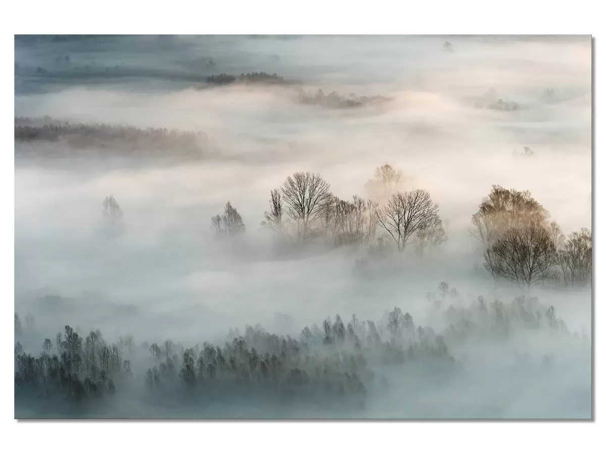 Tableau brouillard hivernal impression sur aluminium 60x40 cm