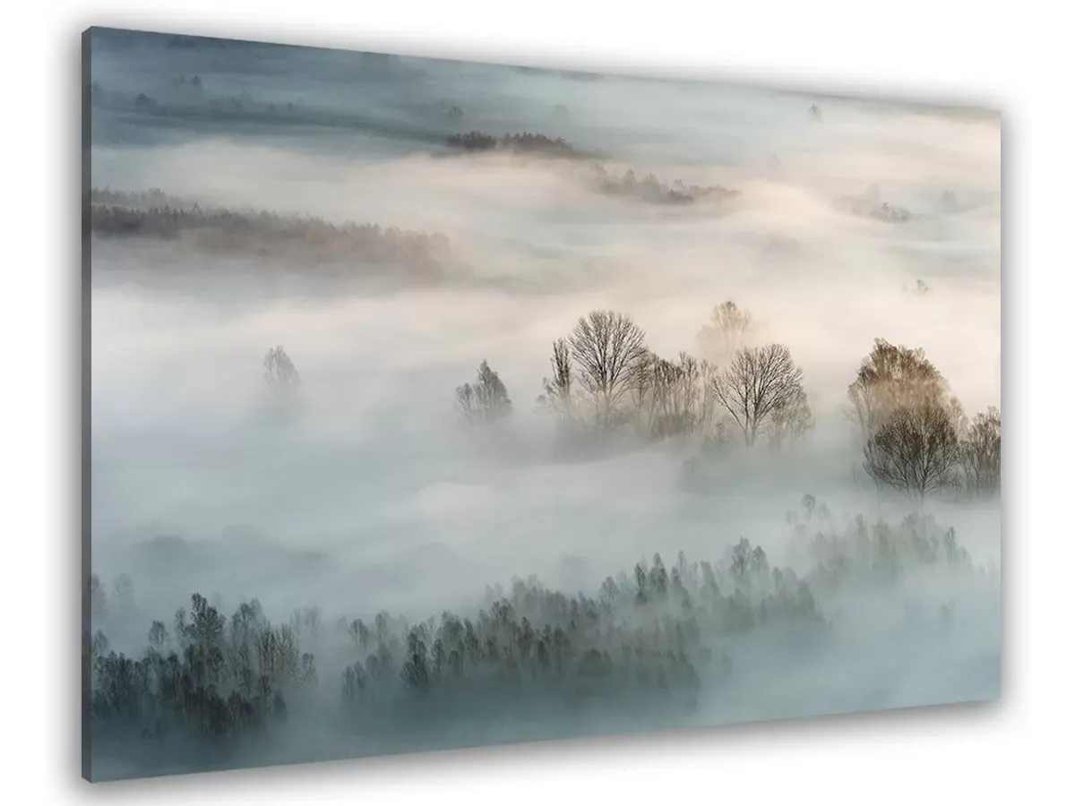 Tableau brouillard hivernal toile imprimée 120x80 cm