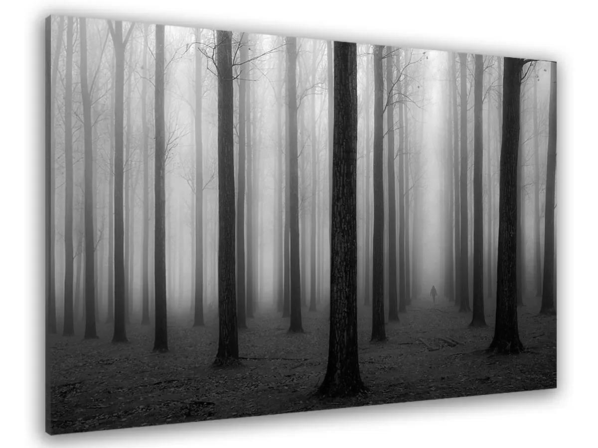 Tableau nature foggy weather toile imprimée 120x80 cm