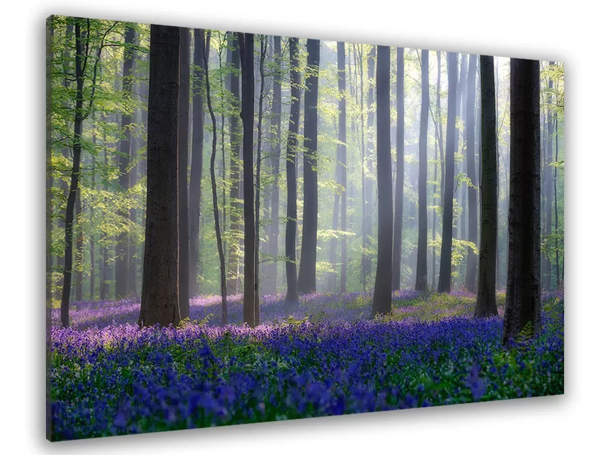 Tableau nature jacinthes et sous-bois toile imprimée 120x80 cm