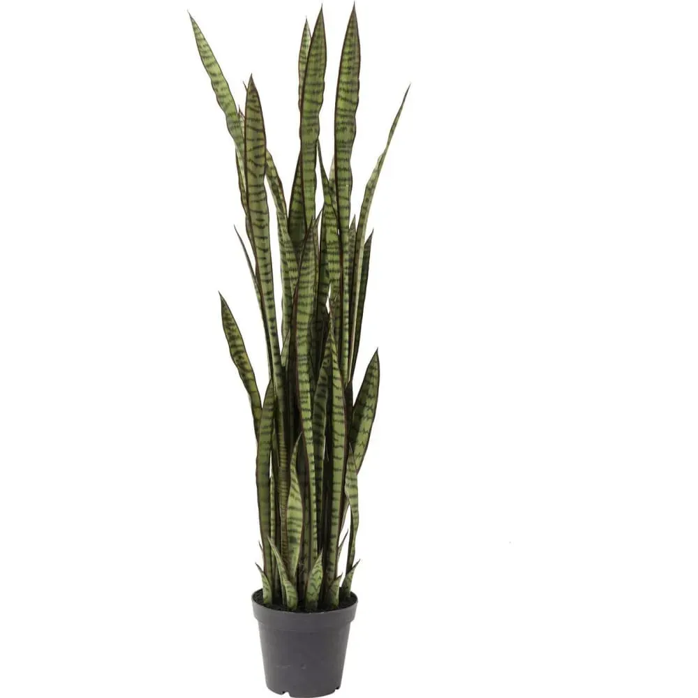 Plante artificielle sansevieria en polyéthylène et béton H155