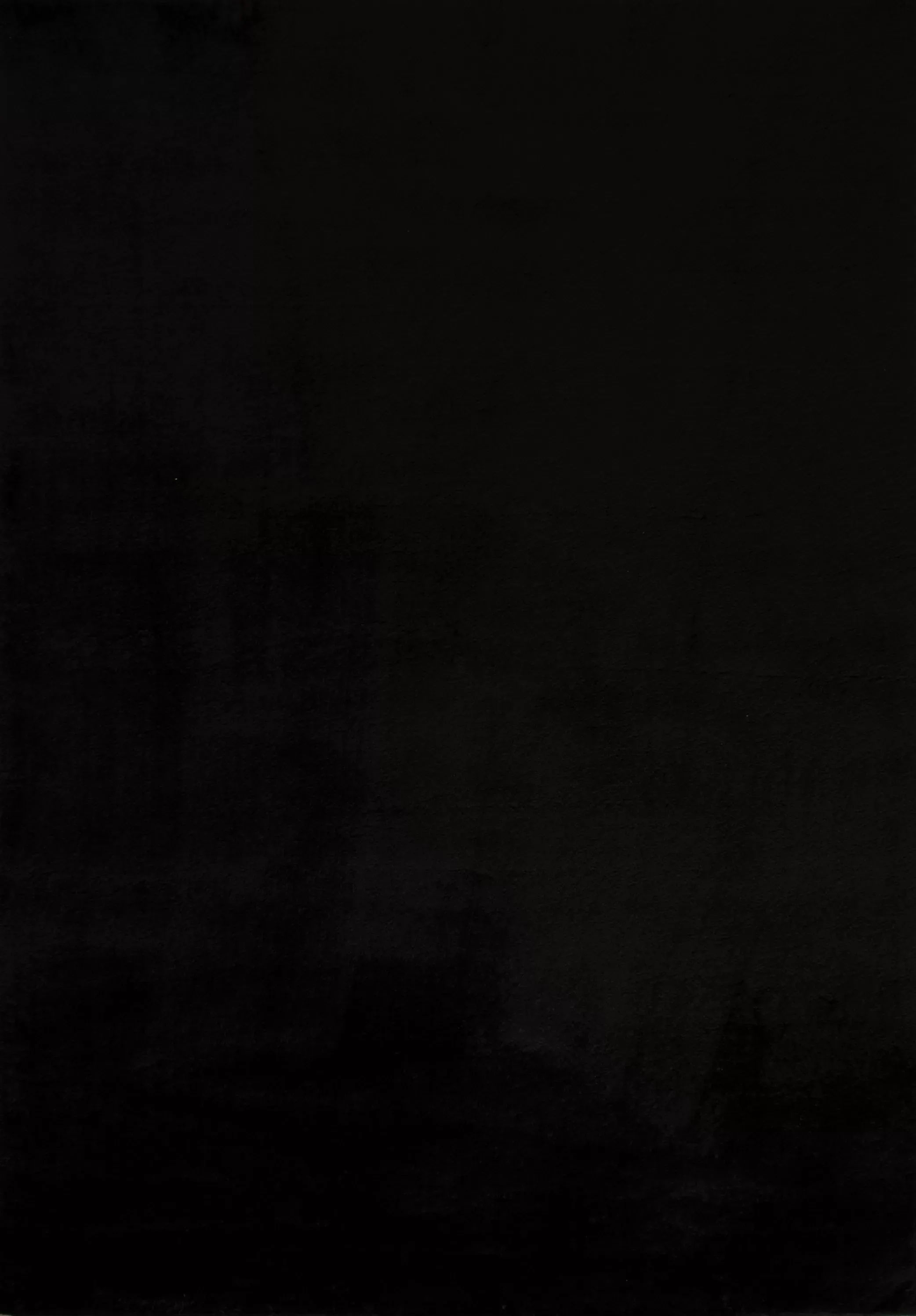 Tapis en polyester brillant motif uni noir 120x160