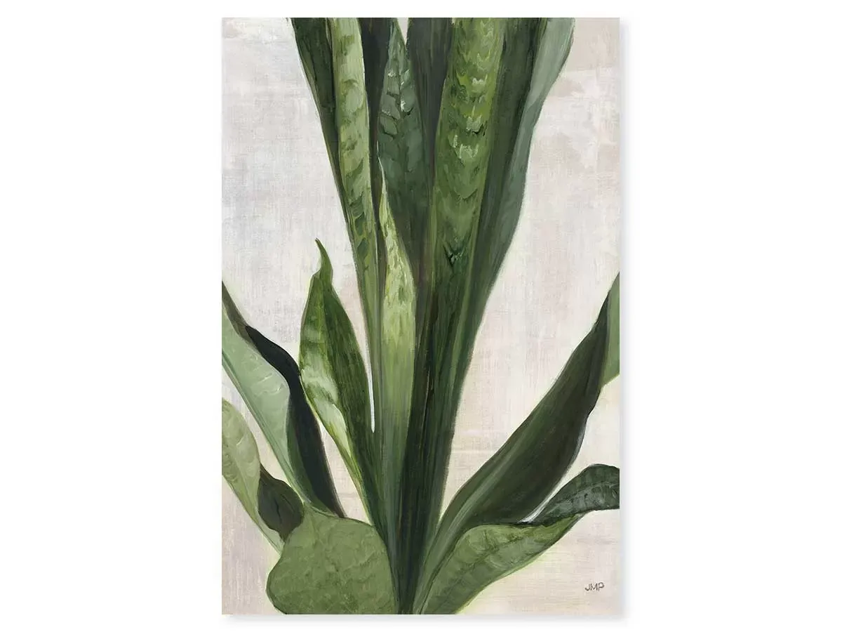 Tableau sanseveria aquarelle imprimé sur toile 40x60 cm