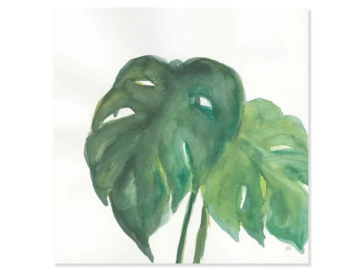 Tableau plante aloe watercolor imprimé sur toile 50x50 cm