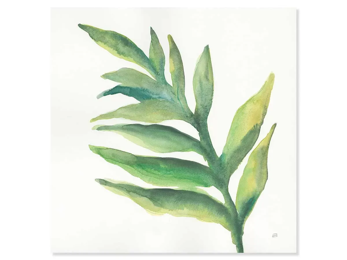 Tableau plante aloe watercolor imprimé sur toile 50x50 cm