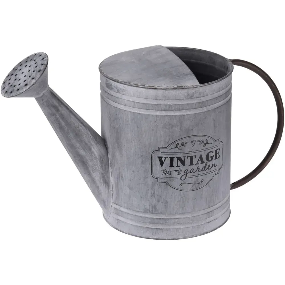 Arrosoir en zinc déco