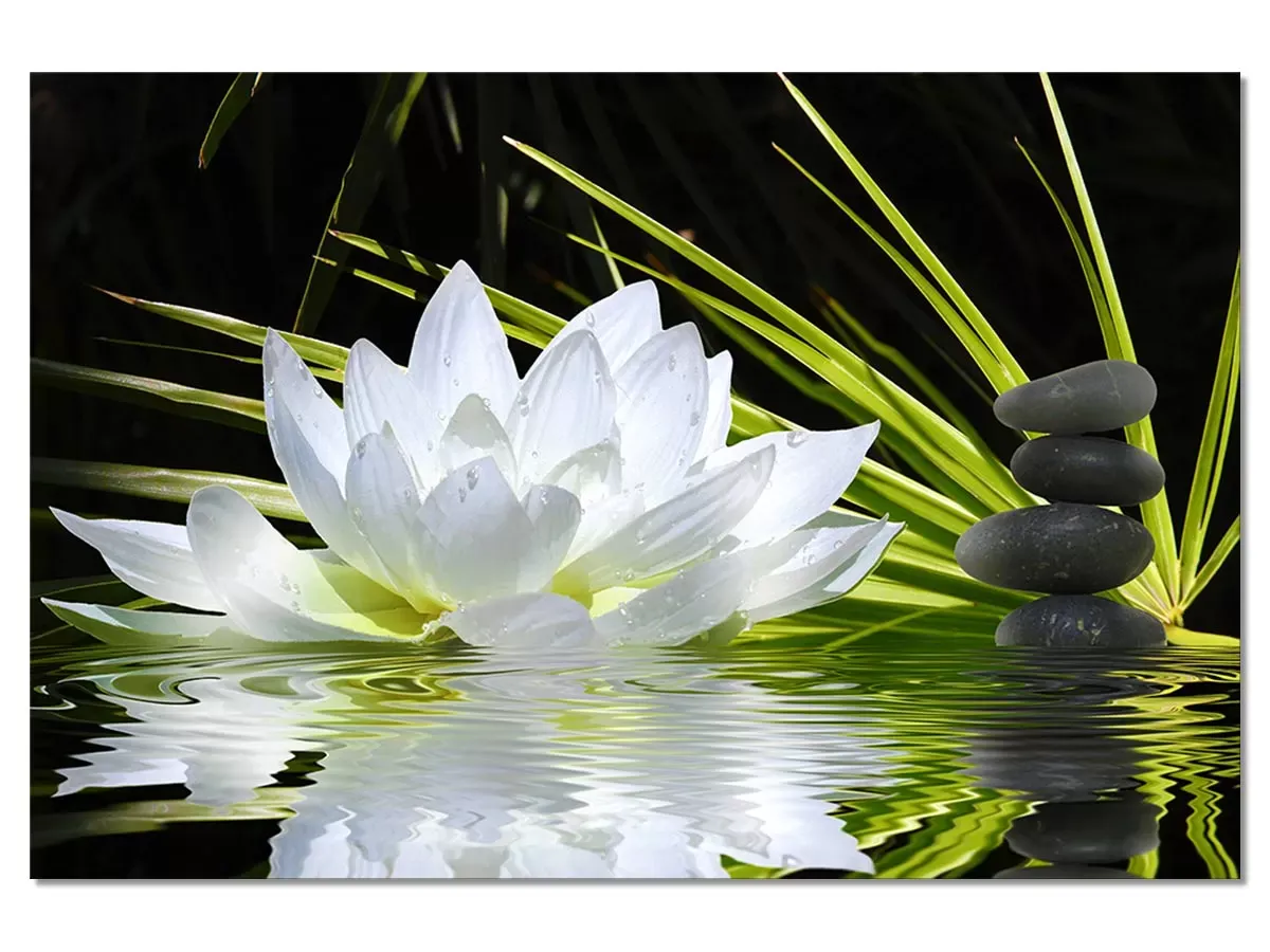 Tableau fleur de lotus et galets toile imprimée 120x80 cm