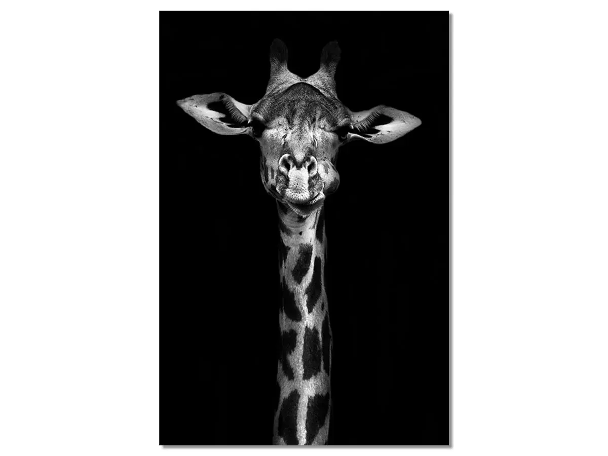 Tableau girafe haute en portrait imprimé sur toile 80x120 cm