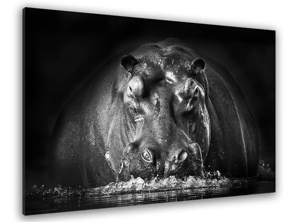 Tableau animaux portrait hippo toile imprimée 120x80 cm