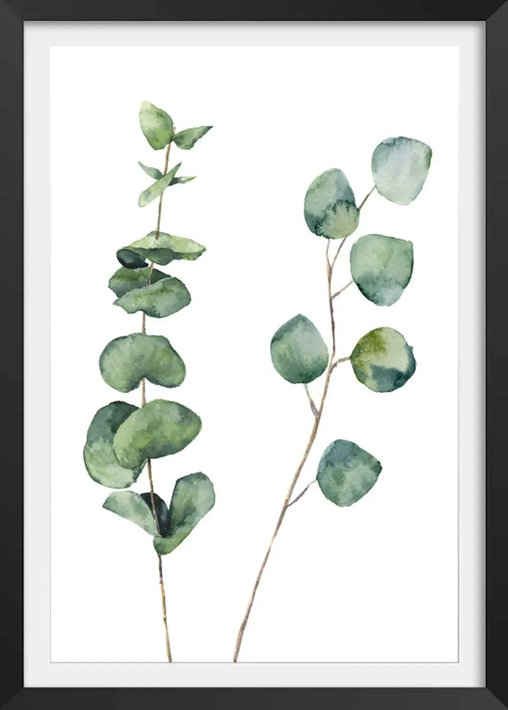 Affiche aquarelle feuille d' eucalyptus avec cadre noir 30x45 cm