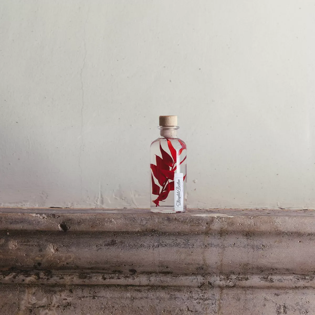 Plante immergée Ruscus rouge H12