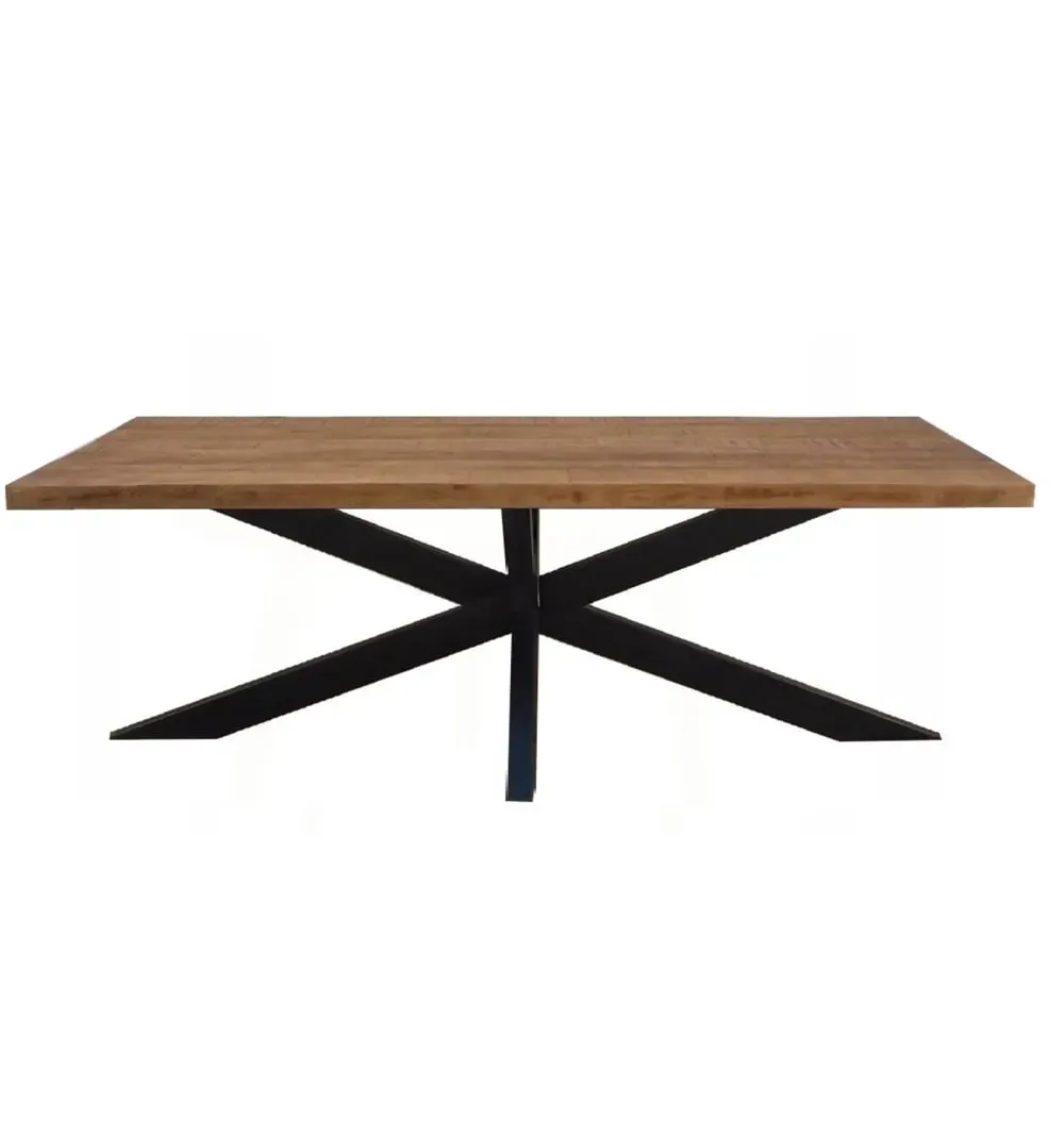 Table à manger 10/12 personnes L220, Manguier massif et spider