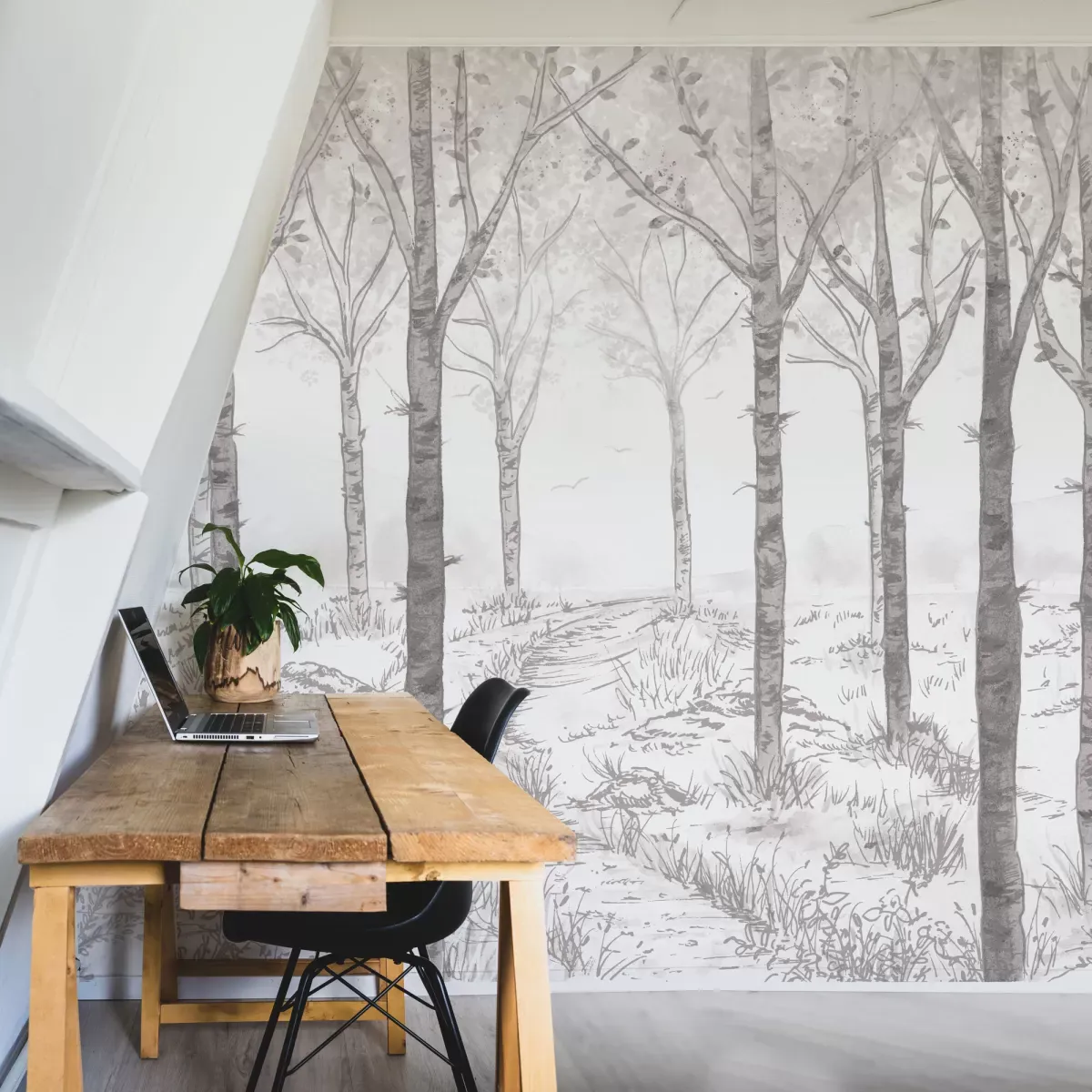 Papier peint panoramique paysage forêt de bouleau gris 300x250cm