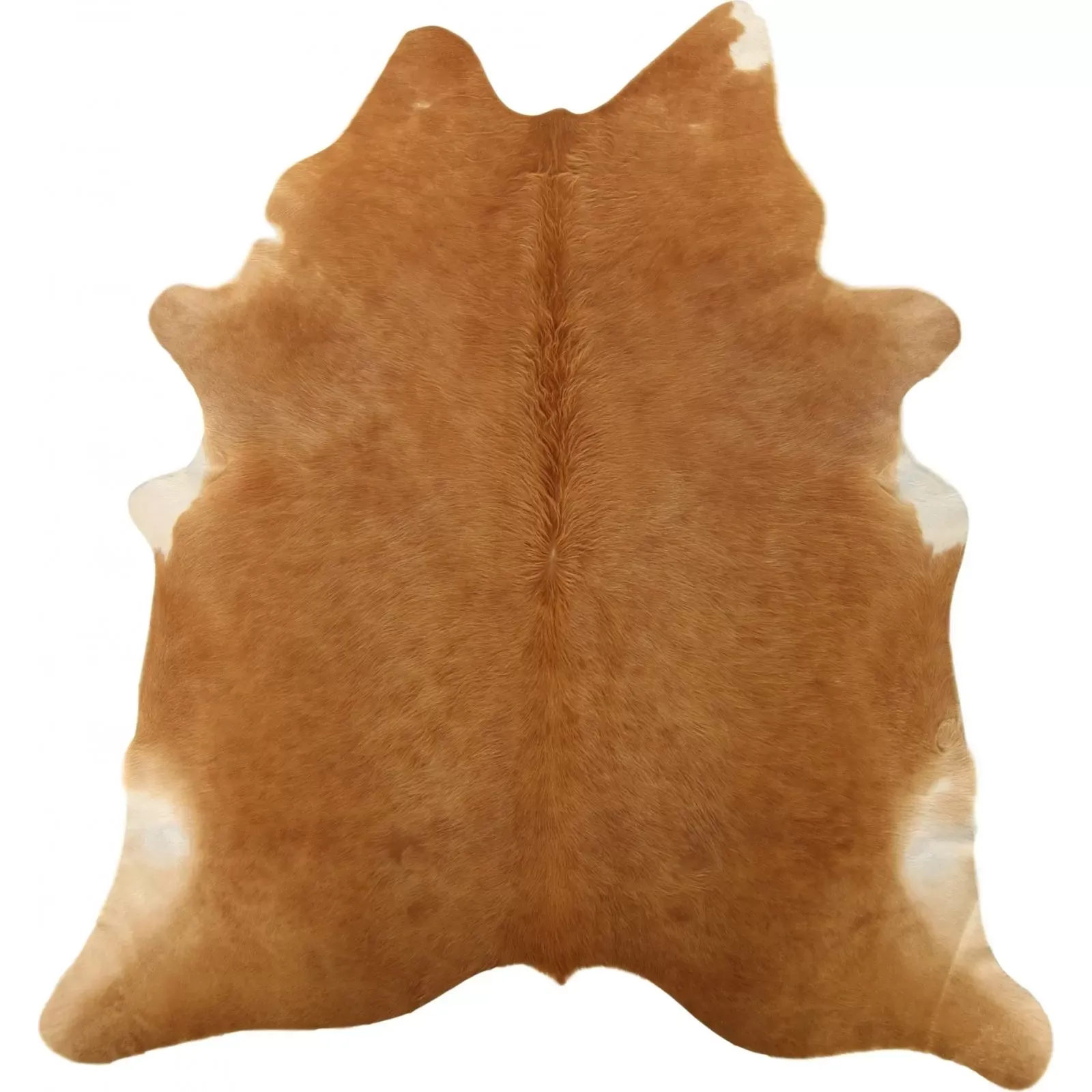 Tapis peau naturelle Cuir Marron