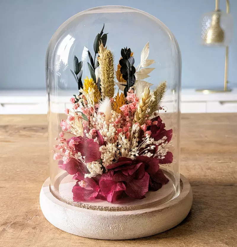 Cloche de fleurs séchées fuchsia Agathe