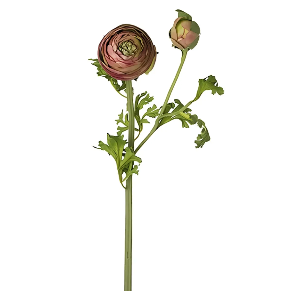 Tige de renoncule artificielle rose foncé et vert H56
