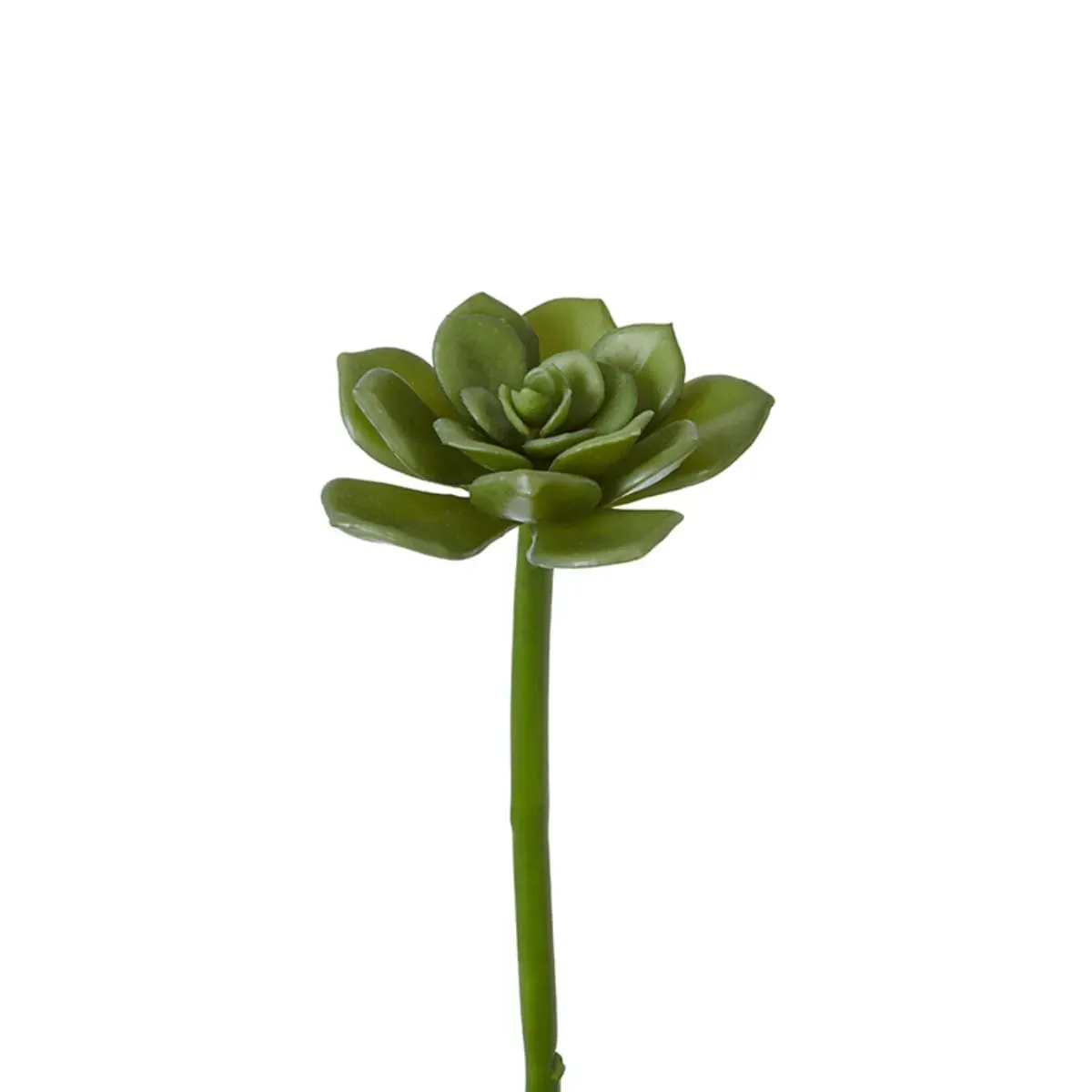 Feuillage de succulente echeveria artificiel vert clair H30