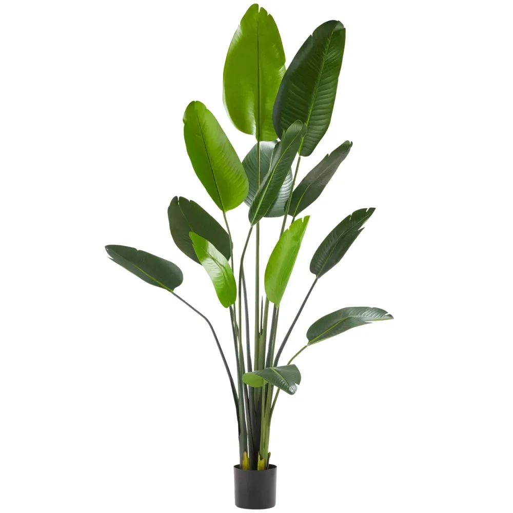 Arbre oiseau du paradis avec feuilles PEVA écologiques 180cm