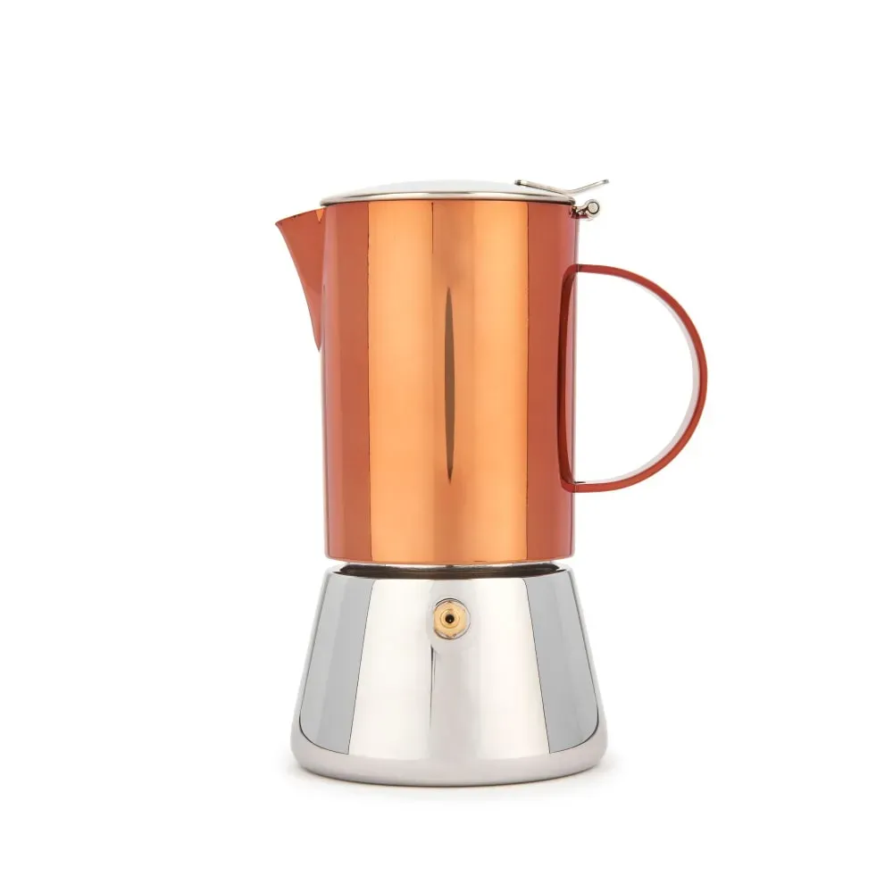 Cafetière En Acier Inoxydable 250ml