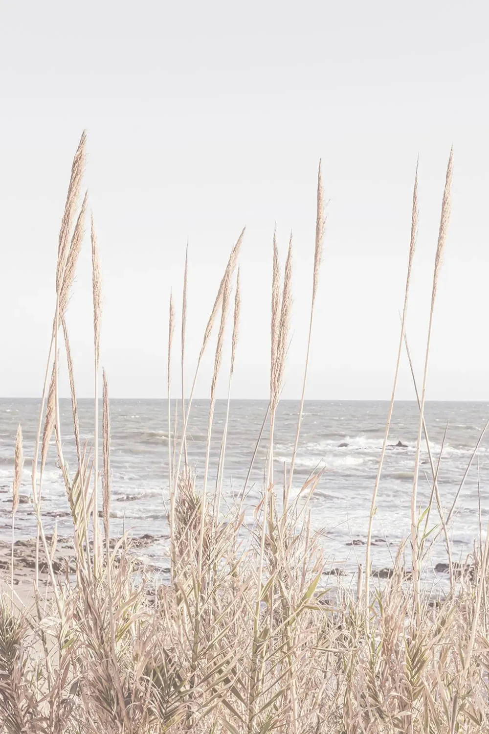 Tableau épis au bord de l'eau imprimé sur toile 60x90 cm