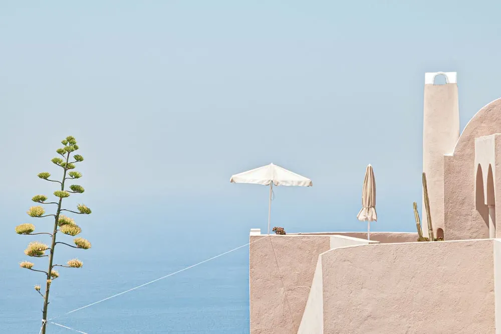 Tableau agave au bord de mer imprimé sur toile 90x60 cm