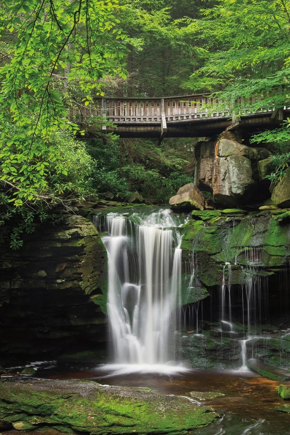 Tableau cascade chutes d'elakala ouest  imprimé sur toile 60x90 cm