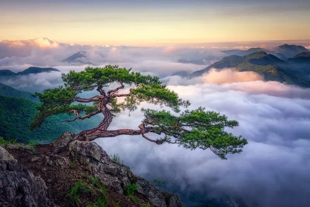 Tableau paysage sur le rocher  imprimé sur toile 90x60 cm