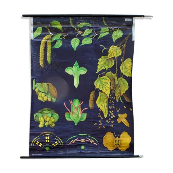 Affiche de l’école de Jung-Koch-Quentell, érable, 1964