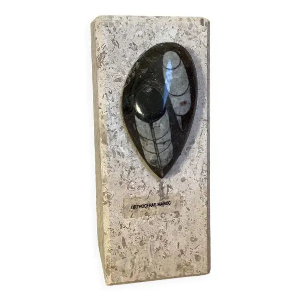 Un serre livres en travertin et fossile asymétrique