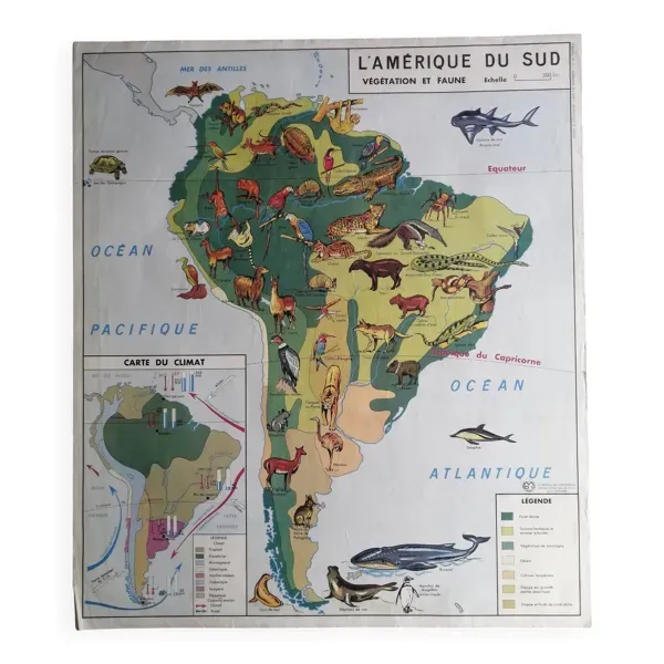 Carte scolaire MDI : AMÉRIQUE DU SUD- OCÉANIE faune végétation.