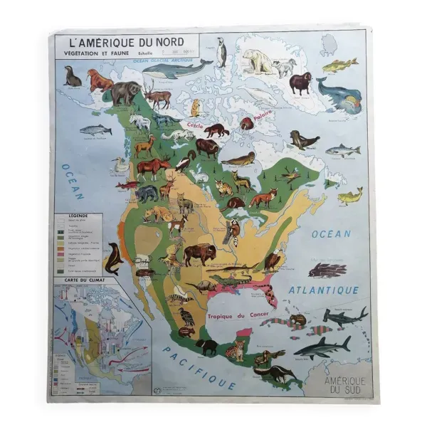 Carte scolaire vintage mdi Amérique du Nord-Asie Faune