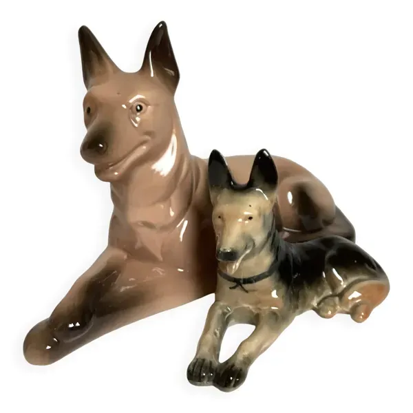 Duo de chiens bergers allemands