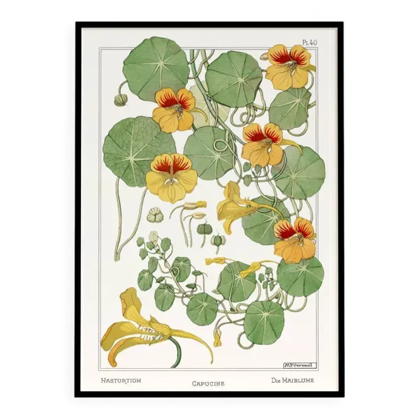 Affiche “Capucine”, d’après une lithographie art nouveau de 1897