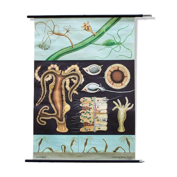 Affiche murale de l’école de Jung-Koch-Quentell, 1965