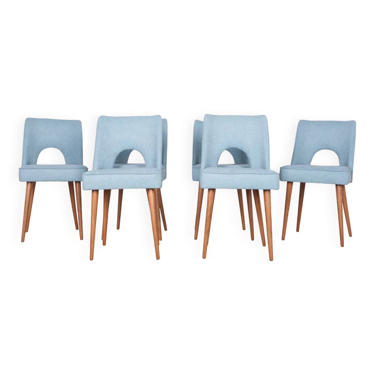 Chaises en coquillage polonaises de l'usine de meubles de Bydgoszcz, années 1960, lot de 6