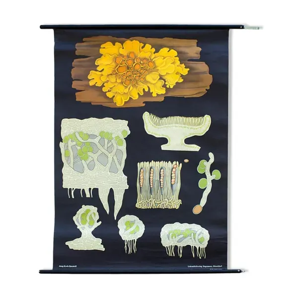 Affiche de l’école de Jung-Koch-Quentell, plat, 1969