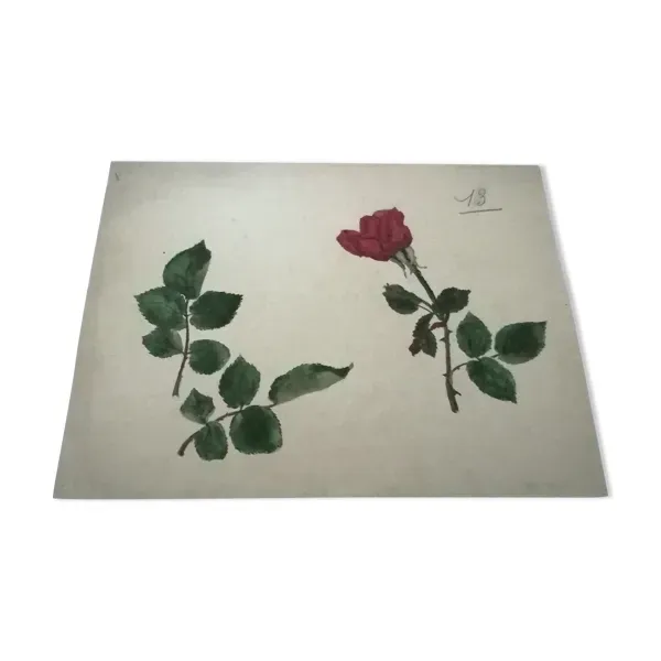 Dessin d'école,d'étude années 20 ''Rose