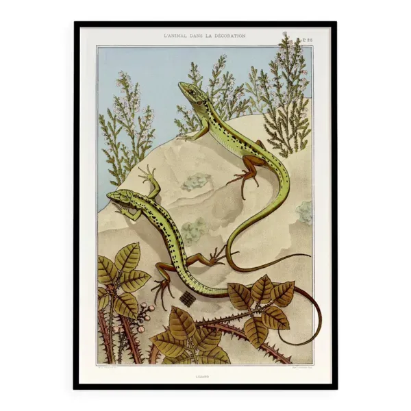 Affiche “Lézard”, d’après une lithographie art nouveau de 1897