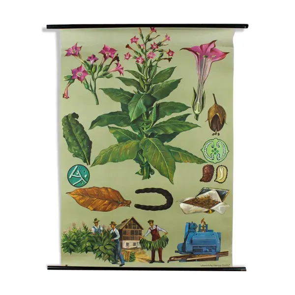 Affiche murale de l’école de Jung-Koch-Quentell ''tabac'' 1972